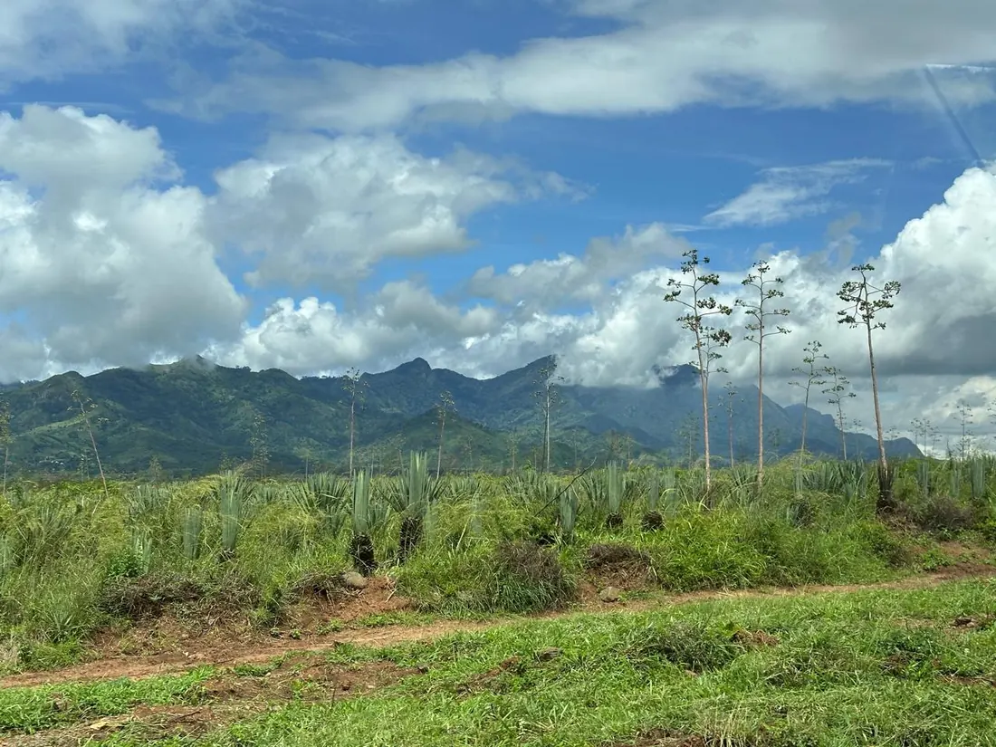Regional landscapes